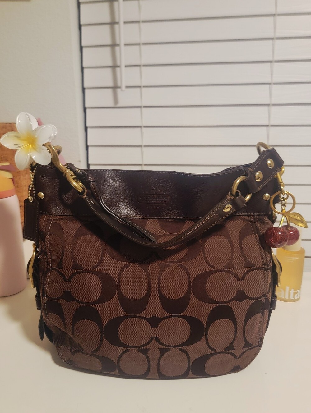Coach Choco Brown Zoe Hobo Bag 🩷🩷